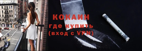 шишки Нея