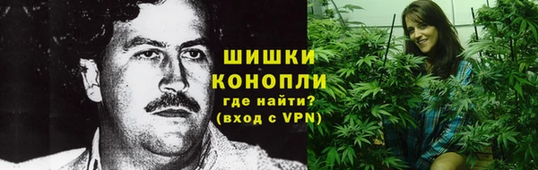 шишки Нея