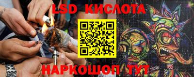 сатива Бузулук