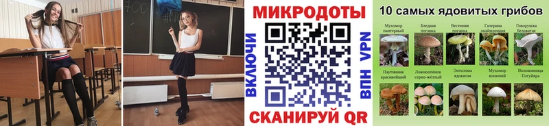 Псилоцибиновые грибы Magic Shrooms  hydra как зайти  Лениногорск 