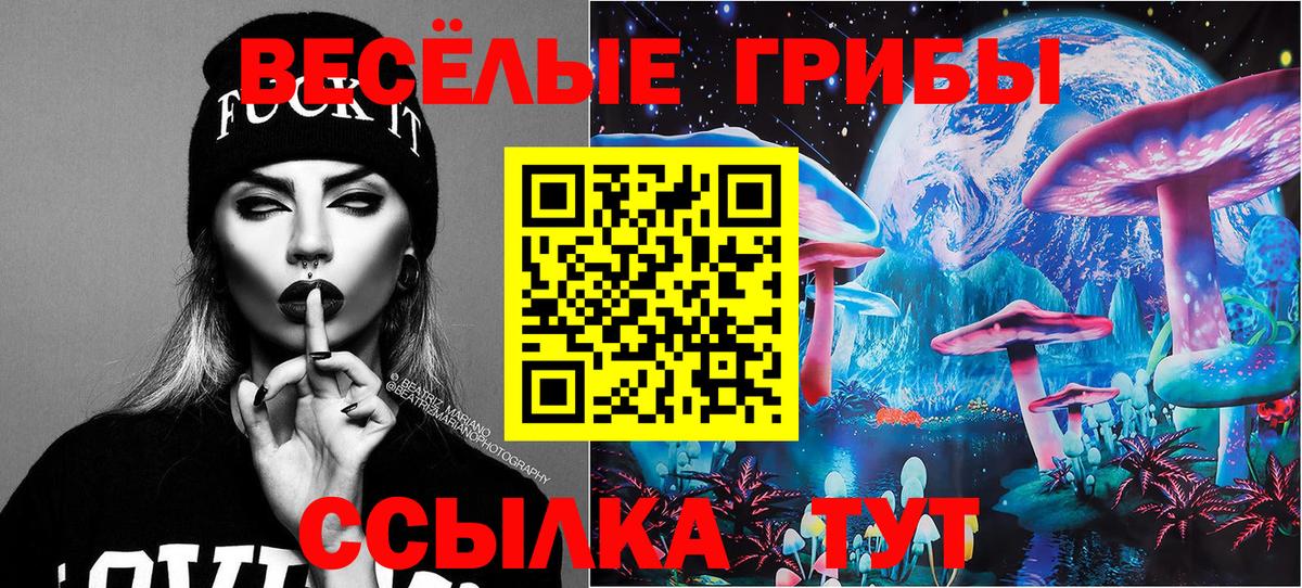 Лениногорск  Псилоцибиновые грибы мухоморы  Вход с VPN 