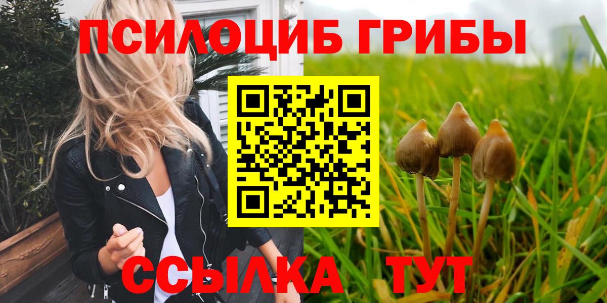 Псилоцибиновые грибы GOLDEN TEACHER  Лениногорск  Галлюциногенные грибы GOLDEN TEACHER 