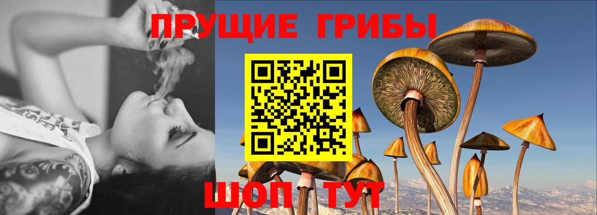 Галлюциногенные грибы MAGIC MUSHROOMS Лениногорск